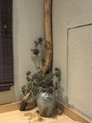 -香秀空间科技抗衰·美容中心