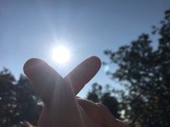 -火炉山森林公园