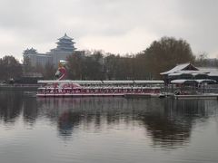 -莲花池公园
