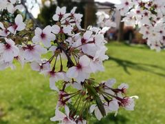 -中共上海市委党校 上海行政学院