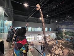 -自贡恐龙博物馆