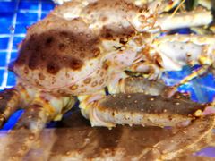 -开海·红岛海鲜虾水饺(石老人店)