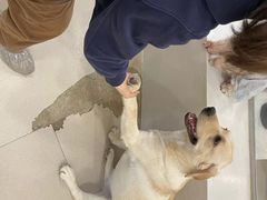 -共舞时光猫咖·狗咖(新街口店)