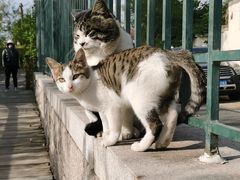 -青岛第三海水浴场