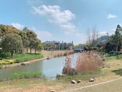 -美兰湖景区