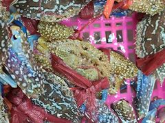 -众味海鲜大排档·活海鲜·潮汕味(南澳店)