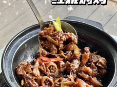 -兴隆槟榔园休闲农庄