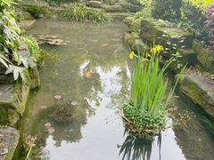 -绿城千岛湖喜来登度假酒店