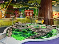 -中国宋庆龄青少年科技文化交流中心