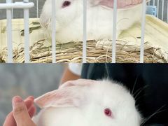 -SHRIMP CLUB万东餐饮钓虾·清吧