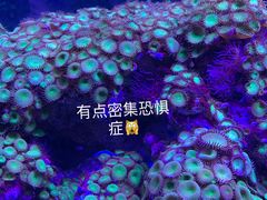 -郑州海洋馆
