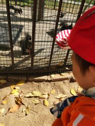 -萌宠亲子动物乐园(槐房万达店)