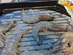 -喜井无限自助烤肉公司(石厦店)