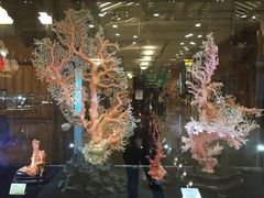 iphone_upload_pic-绮丽珊瑚(台北101旗舰门市店)