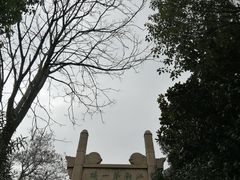 -阅江楼风景区