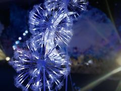 -苏州太湖国际会议中心