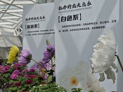 -曹州牡丹园