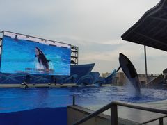 -上海海昌海洋公园