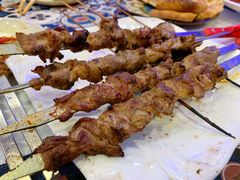红柳羊肉串-新疆火焰山餐厅