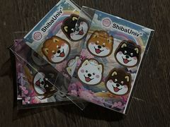 -柴犬高等学院·狗咖·柴犬售卖·宠物训练