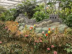 -南宫五洲植物乐园