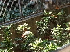 -全家便利店(沪青平公路四店)