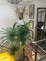 -極致刺青TATTOO STUDIO 私人订制