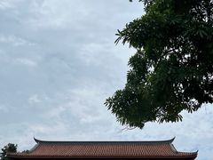 -谢怀亮芝麻茶