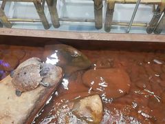 -老客家·客家菜(万达店)
