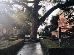 -龙虎山世界地质公园博物馆