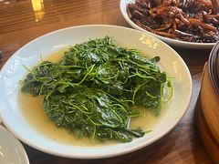 酒香草头-双塔老饭店