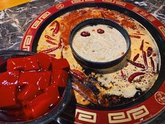 -蜀辣居鲜货老火锅(红牌楼店)