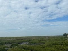 -北海金海湾红树林生态旅游区