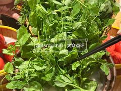 -巴蜀风·地道川菜(总店)