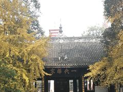 -宝光寺