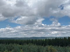 -塞罕坝国家级自然保护区