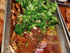 香辣炝锅鱼-树厨贵州菜(大十字店)
