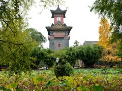 -四川大学(华西校区)