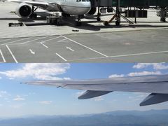 -纽瓦克自由国际机场