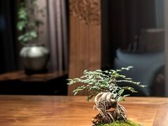 -王府茶楼茶宴·创意菜(朝阳公园店)