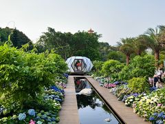 -深圳仙湖植物园