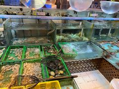 -广东名门