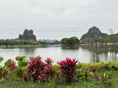 -南宁花花大世界景区