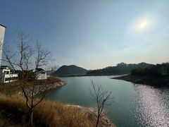 -千岛湖安岚·湖景全日餐厅