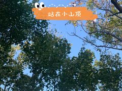 -红莲湖