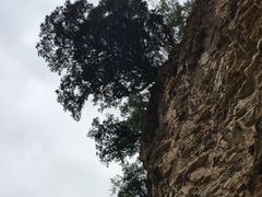 -北京上方山国家森林公园