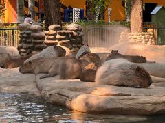 -北京野生动物园