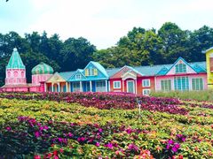 -松山湖梦幻百花洲