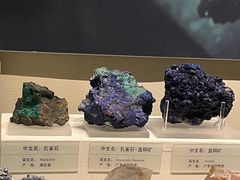 -天津自然博物馆