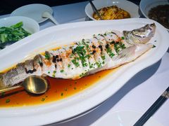 -院里寻菜·祖庵菜宴请(观沙岭店)
